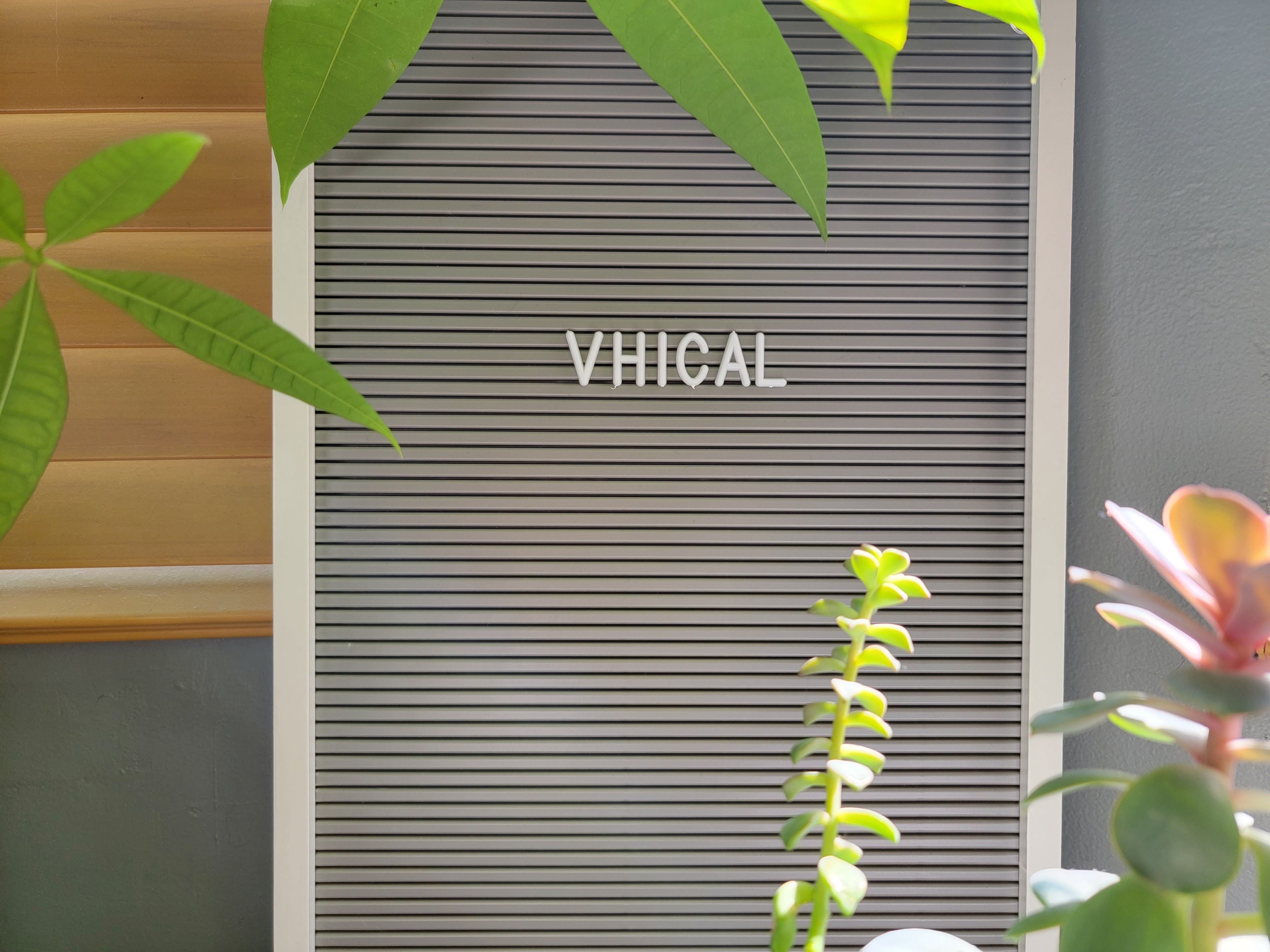 "Vhical" on a letter board among plants