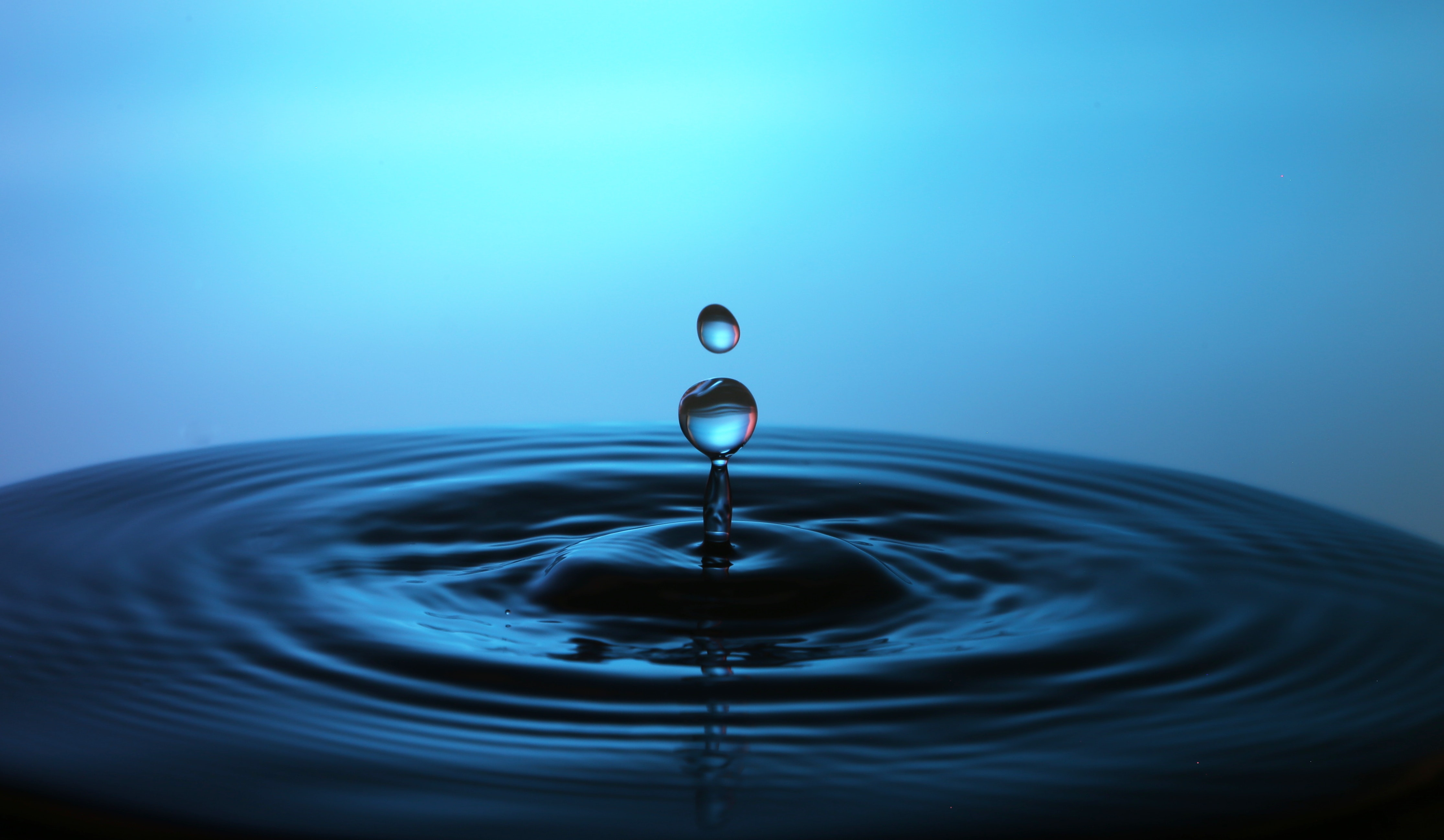 a droplet, the round-about inspiration for Drupal's name